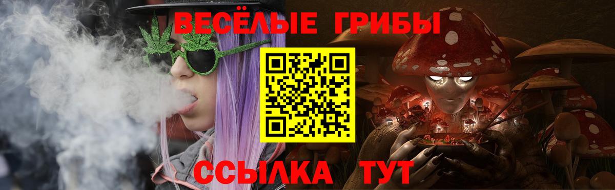 Ступино  Галлюциногенные грибы Psilocybine cubensis  Вход с VPN  Галлюциногенные грибы MAGIC MUSHROOMS 